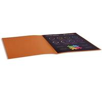 Exacompta 210014E - Lote de 100 Subcarpetas Rock"S 220, Color Habana