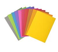 Exacompta 210500E - Lote de 50 Subcarpetas Rock"S 220, Colores Surtidos