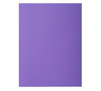 Exacompta 217108E - Lote de 10 Subcarpetas Rock"S 220, Color Morado