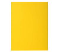 Exacompta 217111E - Lote de 10 Subcarpetas Rock"S 220, Color Amarillo