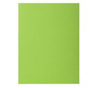 Exacompta 217113E - Lote de 10 Subcarpetas Rock"S 220, Color Verde Claro