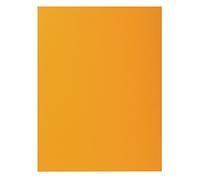 Exacompta - 217126E - Pack de 10 subcarpetas rígidas ROCK''S 210 g/m2 colores vivos - subcarpetas certificadas PEFC™ - dimensiones 24 x 32 cm para formato A4 - color ocre