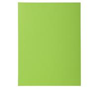Exacompta 218013E - Lote de 50 Subcarpetas Rock"S 220 con Solapa, Color Verde