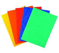 Exacompta 220000E - Paquete de 25 subcarpetas cartulina lustrada, 24 x 32 cm, multicolor