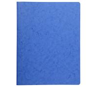 Exacompta - 240125E - Caja de 25 subcarpetas Primavera Lustre Map 410 g Nature Future A4