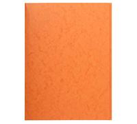 Exacompta 25 carpetas simples sin gomas naranja