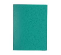 Exacompta 25 carpetas simples sin gomas verde