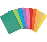 Exacompta 300 subcarpetas Rock"s 80 g/m2 surtidas