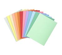 Exacompta 330000E - Lote de 100 Subcarpetas Super 250, Multicolor, 24 x 32 cm