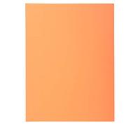Exacompta - 330002E - Pack de 100 SUPER 210 g/m2 subcarpetas rígidas en colores pastel - subcarpetas certificadas PEFC™ - dimensiones 24 x 32cm para formato A4 - color burbuja