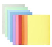 Exacompta - 330100E - 10 paquetes de 10 subcarpetas rígidas SUPER 210 g/m2 en colores pastel - subcarpetas certificadas PEFC - dimensiones 24 x 32 cm para formato A4-10 colores surtidos