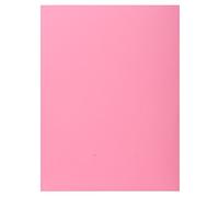 Exacompta Subcarpetas 348003E Super 180 A4 con solapa Lote 100 rosa Niños