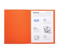 Exacompta 410007E - Lote de 100 Subcarpetas Forever® 250, Color Naranja