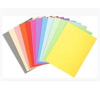 Exacompta 410013e - lote de 100 subcarpetas forever® 250, color verde