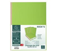 Exacompta 416007E - Lote de 10 Subcarpetas con Fuelle de Tela Rock"S 320, Color Verde