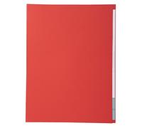 Exacompta 421012E - Lote de 100 Subcarpetas Forever® 180 con Portada Más Estrecha, Color Rojo