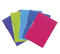 Exacompta 47700E - Lote de 5 subcarpetas, A4, multicolor completo