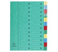 Exacompta - 5124E - 1 clasificador HARMONIKA - sin gomas y ventanas impresas - tapa de tarjeta brillante - lomo expandible - 24 compartimentos - para A4 - tamaño 24,5 x 32cm - color verde