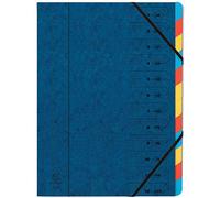 Exacompta 54122E - Carpeta Azul con 12 Compartimentos, Tamaño: 245 mm x 320 mm y 220g/m2, Capacidad:400 hojas (80gr.) Color - Azul