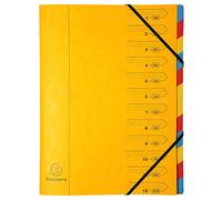 Exacompta 54129E Premium - Carpeta archivadora de cartón Colorspan extra fuerte DIN A4, 12 compartimentos de colores completos y 2 gomas elásticas con impresión organizativa, color amarillo