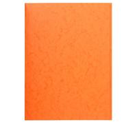 Exacompta 56409E 25er Sammelmappen orange