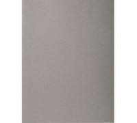 Exacompta, 5x 100 fundas Forever® 220 100% recicladas 24x32cm Gris 410009E