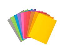 Exacompta 800001E - Lote de 100 Subcarpetas Rock"S 80, Multicolor, 22 x 31 cm