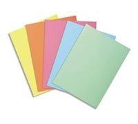Exacompta Subcarpetas Super 60 850000E Papel 60 g/m² Colores surtidos 22 x 31 cm Paquete de 250