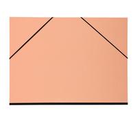 Exacompta, carpeta de documentos con goma elástica, tamaño 52x72 cm, para hojas de 50x65 cm, de colores variados, modelo 25690E