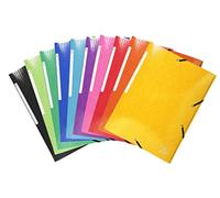 Exacompta Carpeta de gomas en símil Prespán Tres solapas DIN A4+ Colores surtidos