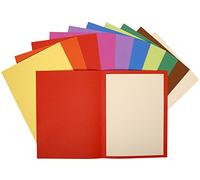Exacompta Flash 220 - Paquete de 10 subcarpetas, 24 x 32 cm, multicolor