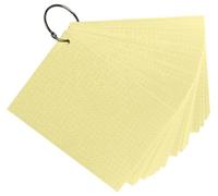 Exacompta - Ref. 10354E - Caja de 19 paquetes de 50 tarjetas con película + anillo - Bristol dots perforado - tarjetas de revisiones - 148 x 105 mm formato A6 - color amarillo
