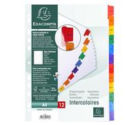 Exacompta - Ref. 1113E - Caja de 20 separadores en tarjeta blanca FSC® 160g/m2 con 12 pestañas impresas mensuales de enero a diciembre en color - Página de indexación imprimible - Para formato A4