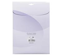 Exacompta - Ref. 42543E - Paquete de 25 platos translúcidos de PVC 20/100º cristal liso para cubiertas transparentes - permite conectar y presentar carpetas en formato A4