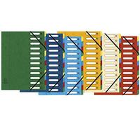 Exacompta - Ref 5312E - Archivo Harmonika multiparte - 24,5 x 32 cm de tamaño, apto para documentos A4, 12 secciones con pestañas multicolor, cubierta de cartón prensado premium - Colores surtidos