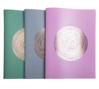 Exacompta - Ref. 85790E - Cartón de 12 fundas de documentos de PP reciclado semirrígido Elipse 60 vistas, A4, colores aleatorios