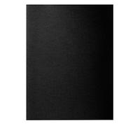 Exacompta Rock"S 210018E, Lote de 100 Subcarpetas para A4 210 g/m² 24 x 32 cm, Negro