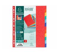 Exacompta Separador cartulina A4 12 posiciones, simil prespan, multitaladro, multicolor