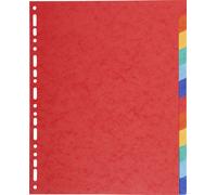 Exacompta, separadores de cartulina, 220g, 12 compartimentos, formato A4, surtido. Modelo 2112E