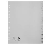 Exacompta, separadores impresos de polipropileno reciclado, color gris, 12 compartimentos, formato A4, modelo Maxi, referencia 2912E