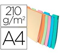 Exacompta Subcarpeta de Cartulina DIN A4 con 6 Departamentos y Pestaña Lateral, Colores Surtidos