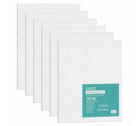 EXERZ 15x20cm Paneles de Lienzos 6 piezas - 0,3cm de Espesor/Lienzos 280GSM / 100% Algodón - Color Blanco/Triple Preparado/Libre de Acido/Hebra Media / - acrílicos & óleo