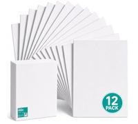 Exerz 30x40cm Paneles de Lienzos 12 piezas A3, 100% Algodón, 280 GSM, Triple Preparado, Libre de Ácido, Hebra Media - Ideal para Pintura Acrílica y Óleo