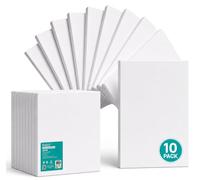 Exerz Lienzo Preestirado 24x30cm 10 piezas, Lienzos Enmarcados de 1,7 cm, 280 g/m², 100% Algodón, Triple Imprimación, Sin Ácidos, Grano Medio, Ideal para Pintura Acrílica y Óleo