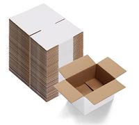 EYMPEU Cajas de Cartón 20,4x15,3x15,3cm Con Tapa, Pack 40 Cajas Pequeñas Onduladas, Blanco