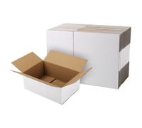 EYMPEU Cajas de Cartón 25,4x17,8x10,2cm Con Tapa, Pack 40, Pequeñas de Ondulado, Blanco