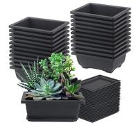 FAAING 20 macetas de plástico para bonsái, 16,5 x 12 x 6 cm, macetas para bonsái con plato, cuenco para bonsái, maceta pequeña para jardín, balcón