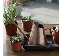 Fabater Regadera de Acero Inoxidable para Plantas de Jardín de Interior y Exterior, Hervidor de Agua con Pico Largo con Ergonómico, Acabado en Bronce Inoxidable Resistente a la Corrosión para Flores