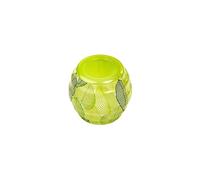 Fackelmann Piège à mouches 16004, Juego de 2 trampas para Moscas de Frutas, 2 cebos, fabricación a Base de 99% de Ingredientes Naturales, 50 x 45 mm, Pet,Plástico,PVC, Verde, 2