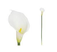 Factory Cuadros - 4 VARAS CALA LATEX-72 CM (BLANCO) / FLORES ARTIFICIALES